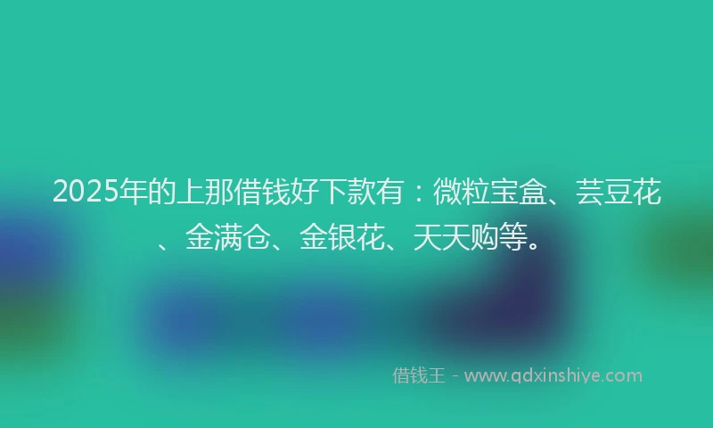2025年的上那借钱好下款有：微粒宝盒、芸豆花、金满仓、金银花、天天购等。