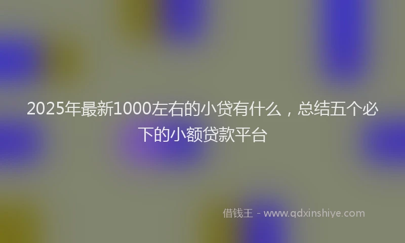 2025年最新1000左右的小贷有什么，总结五个必下的小额贷款平台