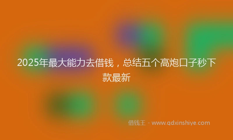 2025年最大能力去借钱，总结五个高炮口子秒下款最新
