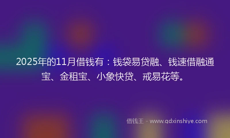 2025年的11月借钱有：钱袋易贷融、钱速借融通宝、金租宝、小象快贷、戒易花等。