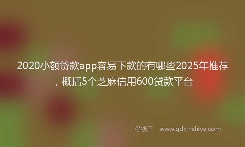 2020小额贷款app容易下款的有哪些2025年推荐，概括5个芝麻信用600贷款平台