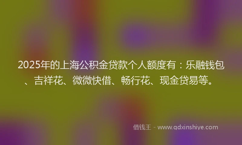 2025年的上海公积金贷款个人额度有：乐融钱包、吉祥花、微微快借、畅行花、现金贷易等。