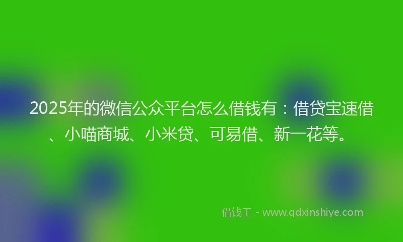 2025年的微信公众平台怎么借钱有:借贷宝速借、小喵商城、小米贷、可易借、新一花等。