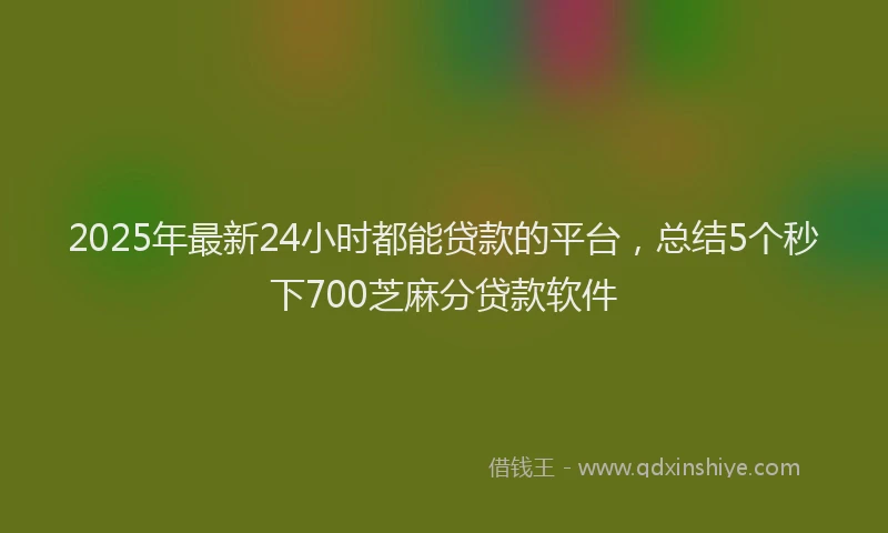 2025年最新24小时都能贷款的平台，总结5个秒下700芝麻分贷款软件