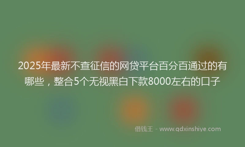 2025年最新不查征信的网贷平台百分百通过的有哪些，整合5个无视黑白下款8000左右的口子