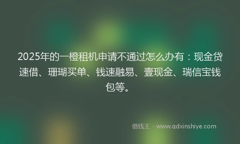 2025年的一橙租机申请不通过怎么办有：现金贷速借、珊瑚买单、钱速融易、壹现金、瑞信宝钱包等。
