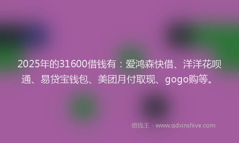 2025年的31600借钱有：爱鸿森快借、洋洋花呗通、易贷宝钱包、美团月付取现、gogo购等。