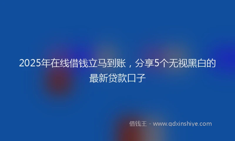 2025年在线借钱立马到账，分享5个无视黑白的最新贷款口子