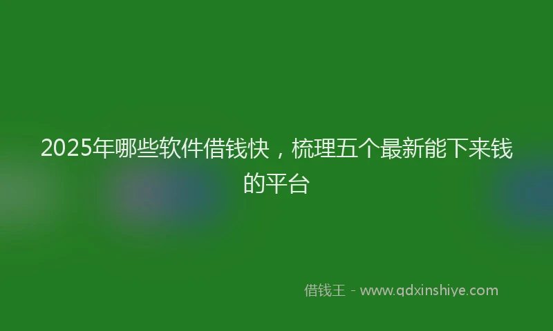 2025年哪些软件借钱快，梳理五个最新能下来钱的平台