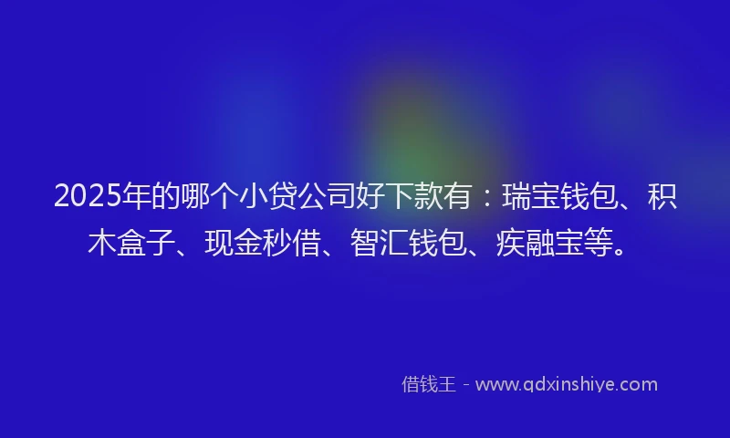 2025年的哪个小贷公司好下款有：瑞宝钱包、积木盒子、现金秒借、智汇钱包、疾融宝等。