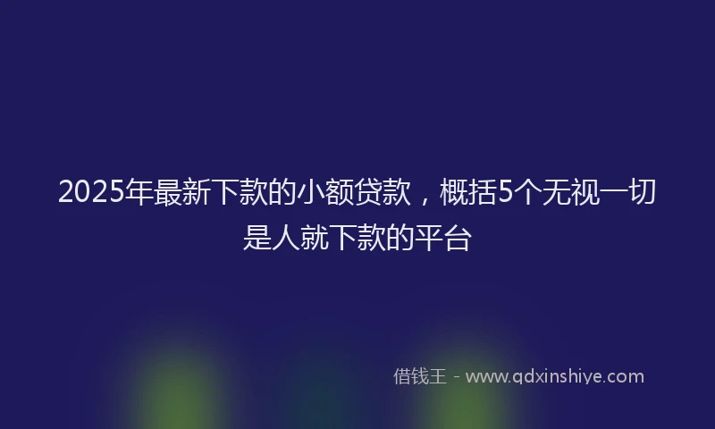 2025年最新下款的小额贷款，概括5个无视一切是人就下款的平台