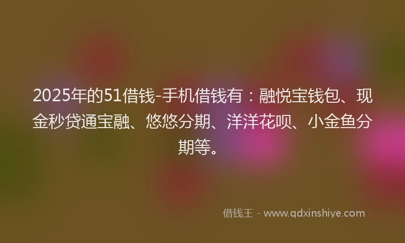 2025年的51借钱-手机借钱有：融悦宝钱包、现金秒贷通宝融、悠悠分期、洋洋花呗、小金鱼分期等。