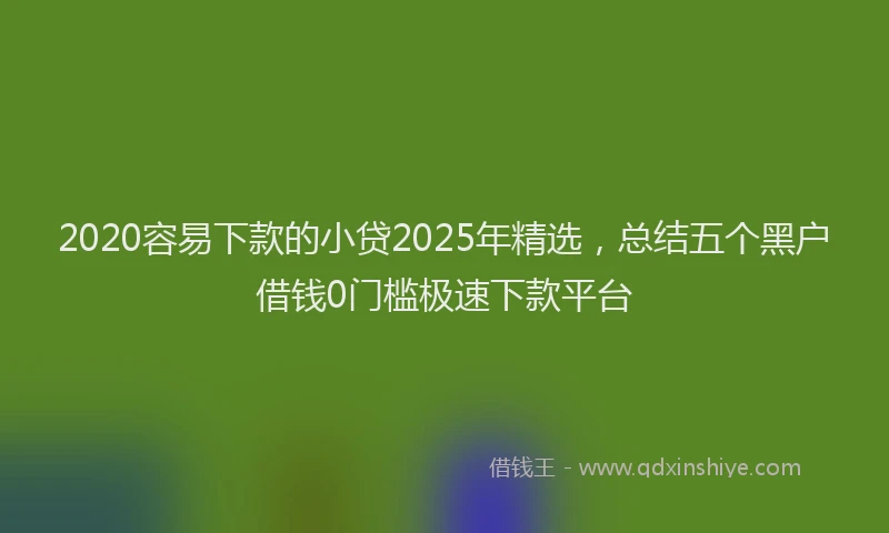 2020容易下款的小贷2025年精选，总结五个黑户借钱0门槛极速下款平台