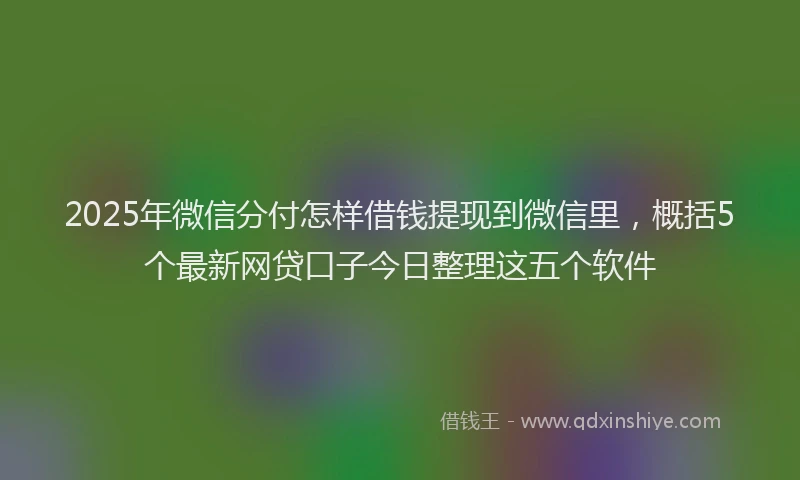 2025年微信分付怎样借钱提现到微信里，概括5个最新网贷口子今日整理这五个软件