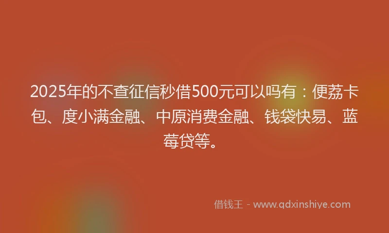 2025年的不查征信秒借500元可以吗有：便荔卡包、度小满金融、中原消费金融、钱袋快易、蓝莓贷等。