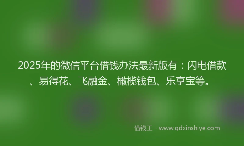2025年的微信平台借钱办法最新版有：闪电借款、易得花、飞融金、橄榄钱包、乐享宝等。