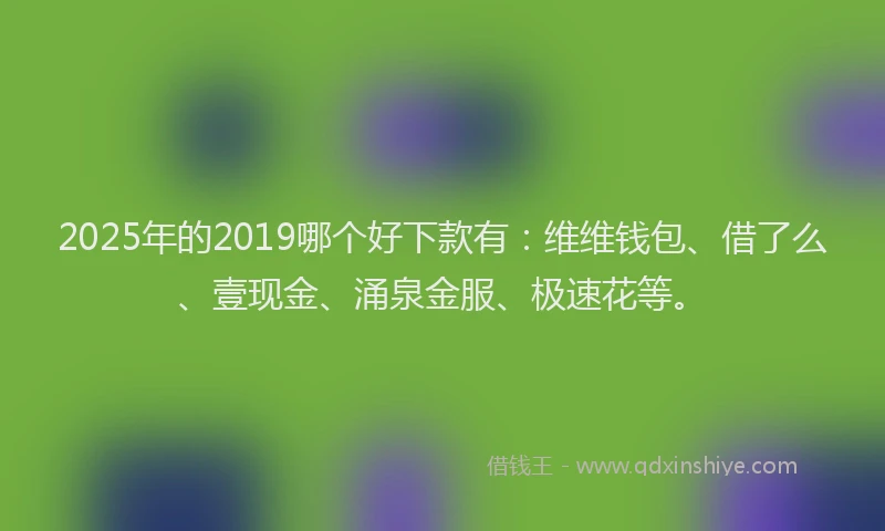 2025年的2019哪个好下款有：维维钱包、借了么、壹现金、涌泉金服、极速花等。