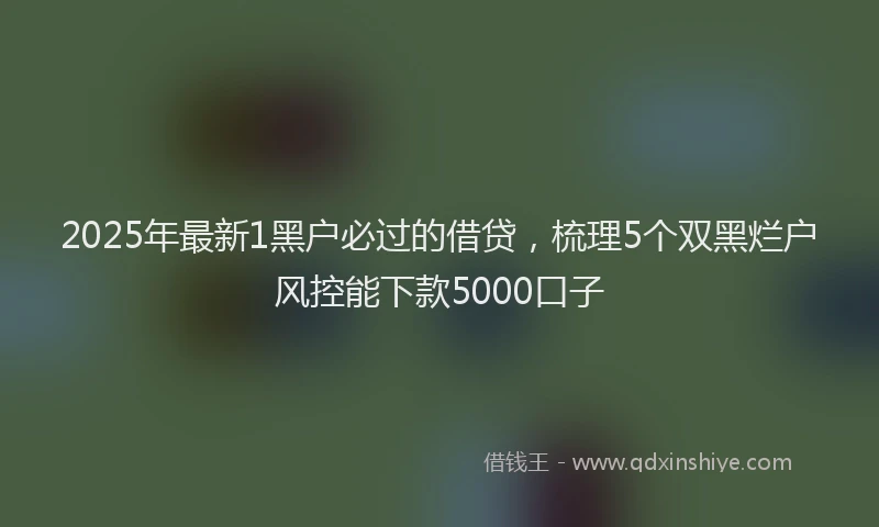 2025年最新1黑户必过的借贷，梳理5个双黑烂户风控能下款5000口子
