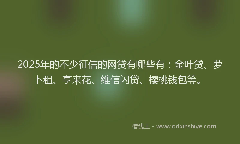 2025年的不少征信的网贷有哪些有：金叶贷、萝卜租、享来花、维信闪贷、樱桃钱包等。