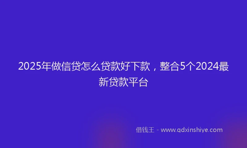 2025年做信贷怎么贷款好下款，整合5个2024最新贷款平台