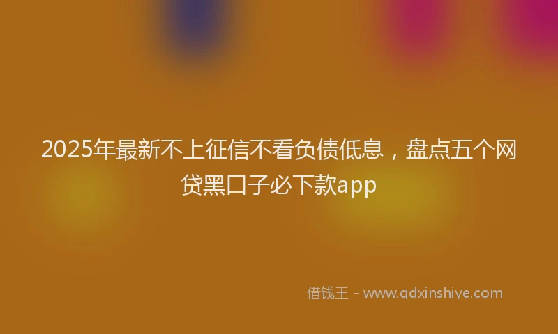 2025年最新不上征信不看负债低息，盘点五个网贷黑口子必下款app