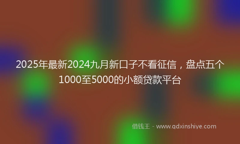 2025年最新2024九月新口子不看征信，盘点五个1000至5000的小额贷款平台