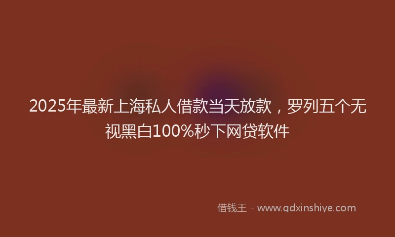 2025年最新上海私人借款当天放款，罗列五个无视黑白100%秒下网贷软件
