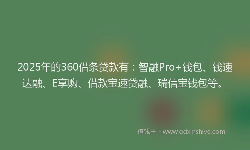 2025年的360借条贷款有：智融Pro+钱包、钱速达融、E享购、借款宝速贷融、瑞信宝钱包等。