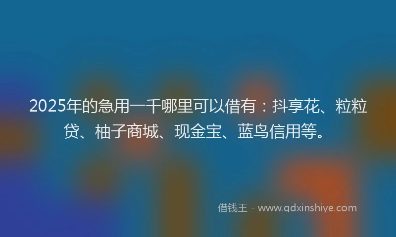2025年的急用一千哪里可以借有：抖享花、粒粒贷、柚子商城、现金宝、蓝鸟信用等。