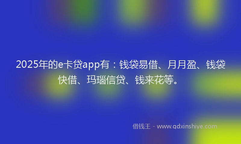 2025年的e卡贷app有：钱袋易借、月月盈、钱袋快借、玛瑙信贷、钱来花等。