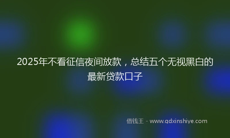 2025年不看征信夜间放款，总结五个无视黑白的最新贷款口子