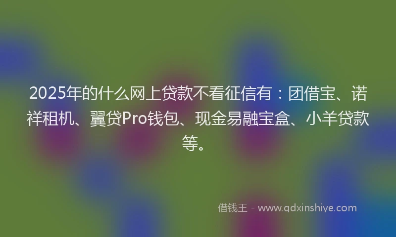 2025年的什么网上贷款不看征信有：团借宝、诺祥租机、翼贷Pro钱包、现金易融宝盒、小羊贷款等。
