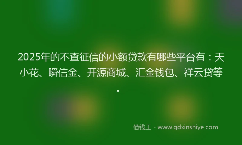 2025年的不查征信的小额贷款有哪些平台有：天小花、瞬信金、开源商城、汇金钱包、祥云贷等。