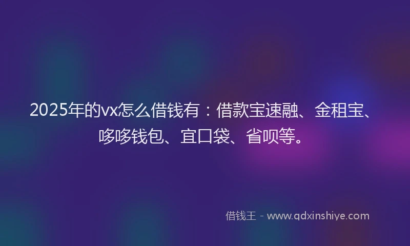 2025年的vx怎么借钱有：借款宝速融、金租宝、哆哆钱包、宜口袋、省呗等。