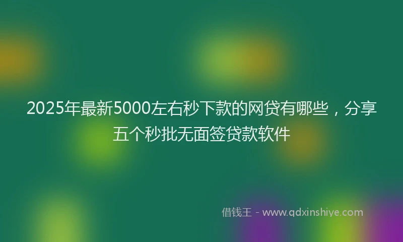 2025年最新5000左右秒下款的网贷有哪些，分享五个秒批无面签贷款软件