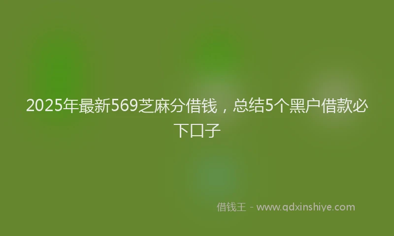 2025年最新569芝麻分借钱，总结5个黑户借款必下口子