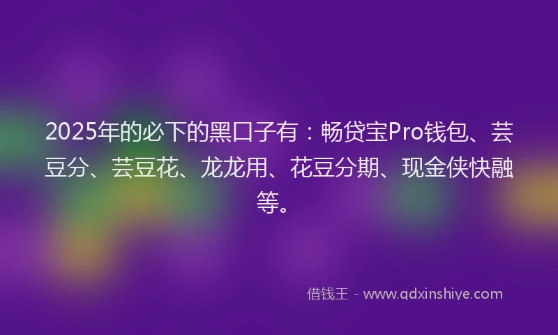 2025年的必下的黑口子有：畅贷宝Pro钱包、芸豆分、芸豆花、龙龙用、花豆分期、现金侠快融等。
