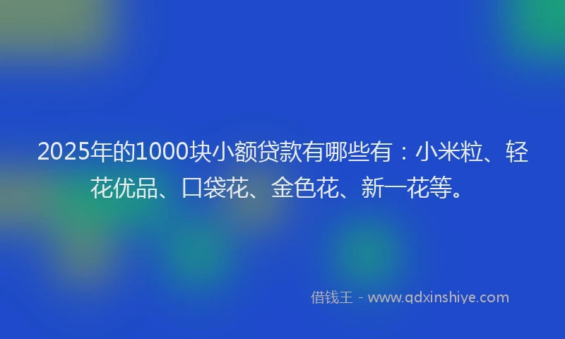 2025年的1000块小额贷款有哪些有：小米粒、轻花优品、口袋花、金色花、新一花等。