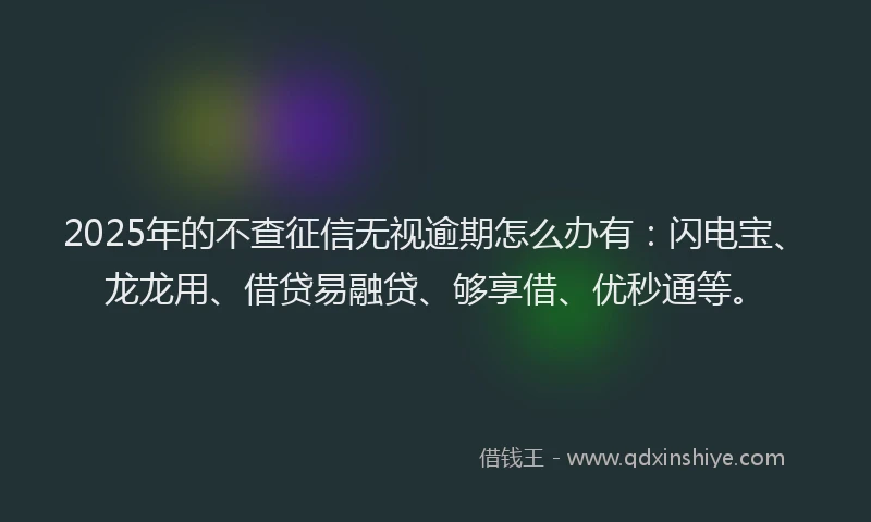 2025年的不查征信无视逾期怎么办有：闪电宝、龙龙用、借贷易融贷、够享借、优秒通等。