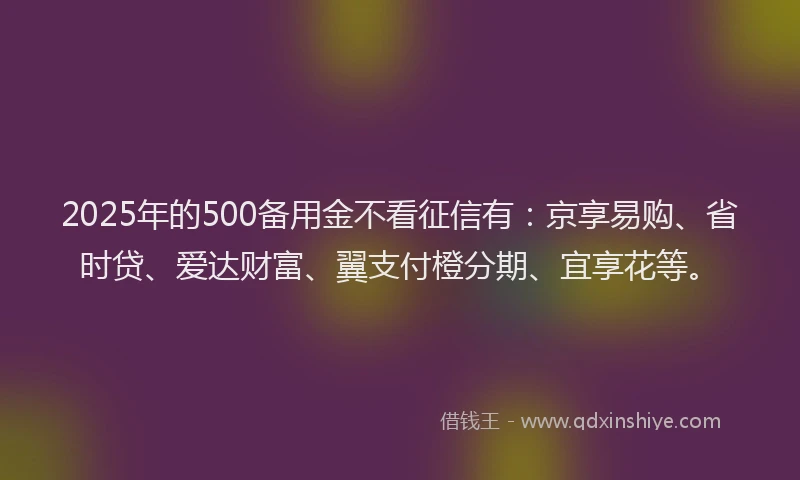 2025年的500备用金不看征信有：京享易购、省时贷、爱达财富、翼支付橙分期、宜享花等。