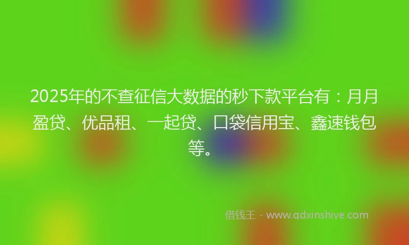 2025年的不查征信大数据的秒下款平台有：月月盈贷、优品租、一起贷、口袋信用宝、鑫速钱包等。