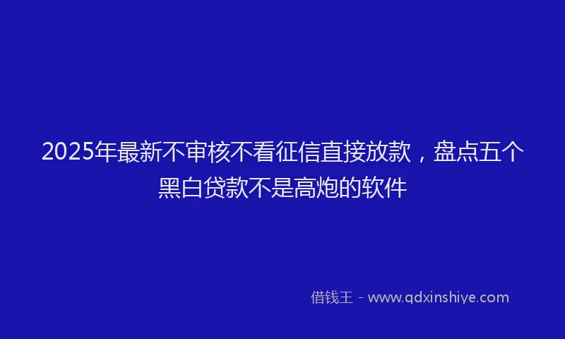 2025年最新不审核不看征信直接放款，盘点五个黑白贷款不是高炮的软件