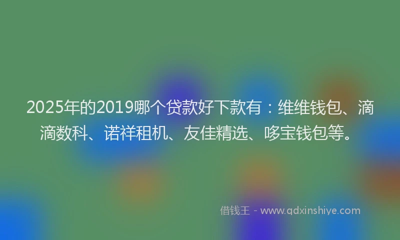 2025年的2019哪个贷款好下款有：维维钱包、滴滴数科、诺祥租机、友佳精选、哆宝钱包等。