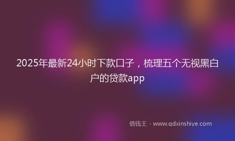 2025年最新24小时下款口子，梳理五个无视黑白户的贷款app