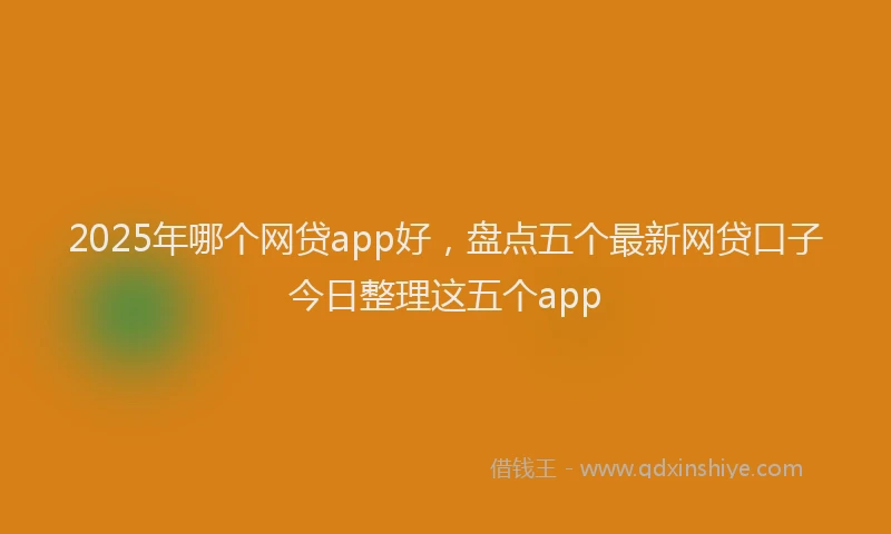2025年哪个网贷app好，盘点五个最新网贷口子今日整理这五个app
