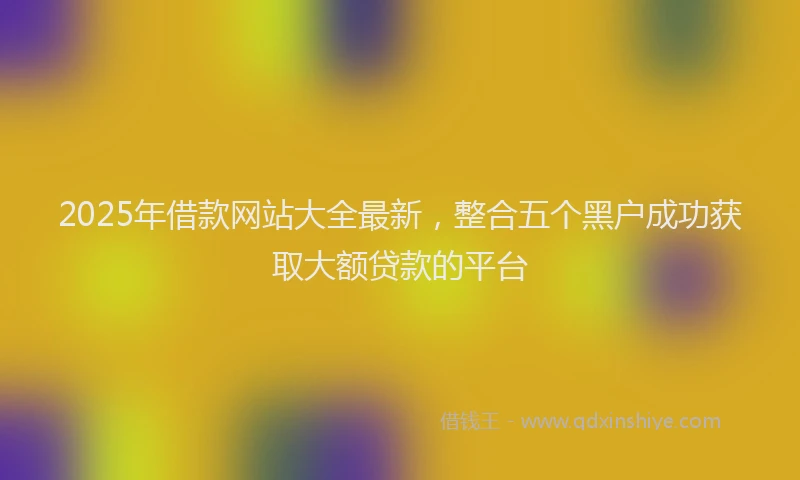 2025年借款网站大全最新，整合五个黑户成功获取大额贷款的平台
