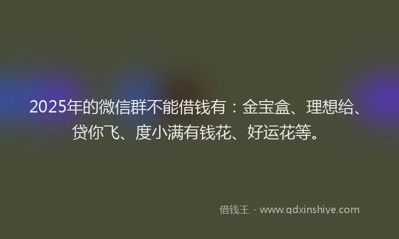 2025年的微信群不能借钱有：金宝盒、理想给、贷你飞、度小满有钱花、好运花等。