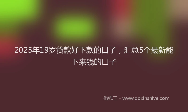 2025年19岁贷款好下款的口子，汇总5个最新能下来钱的口子
