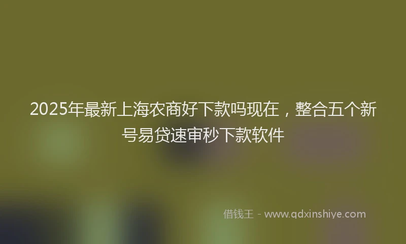 2025年最新上海农商好下款吗现在，整合五个新号易贷速审秒下款软件