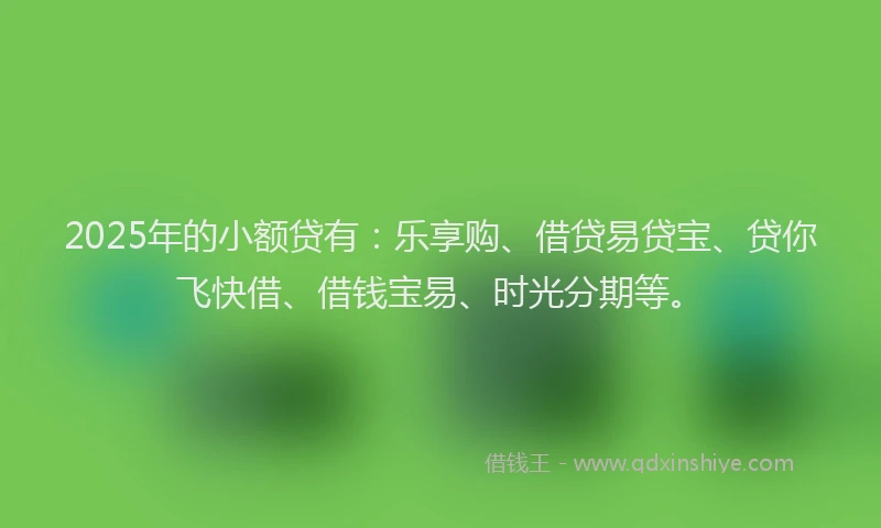 2025年的小额贷有：乐享购、借贷易贷宝、贷你飞快借、借钱宝易、时光分期等。